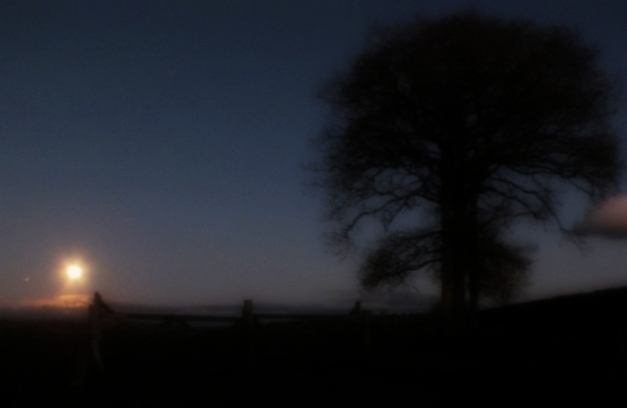 Moon over Exmoor